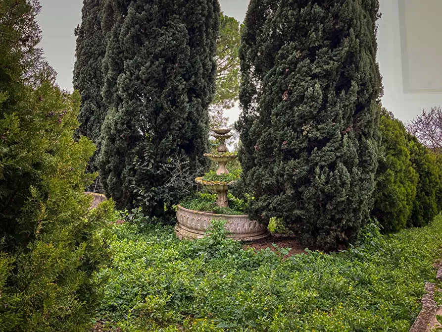 Immagine 6 di Terreno edificabile in vendita  a Jesi