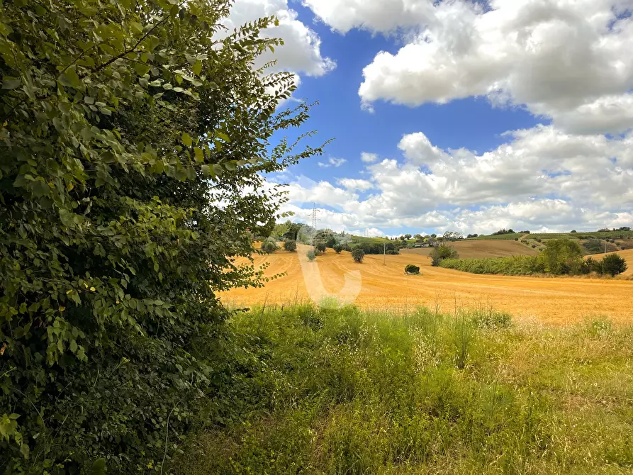 Immagine 7 di Rustico / casale in vendita  a Monte Roberto