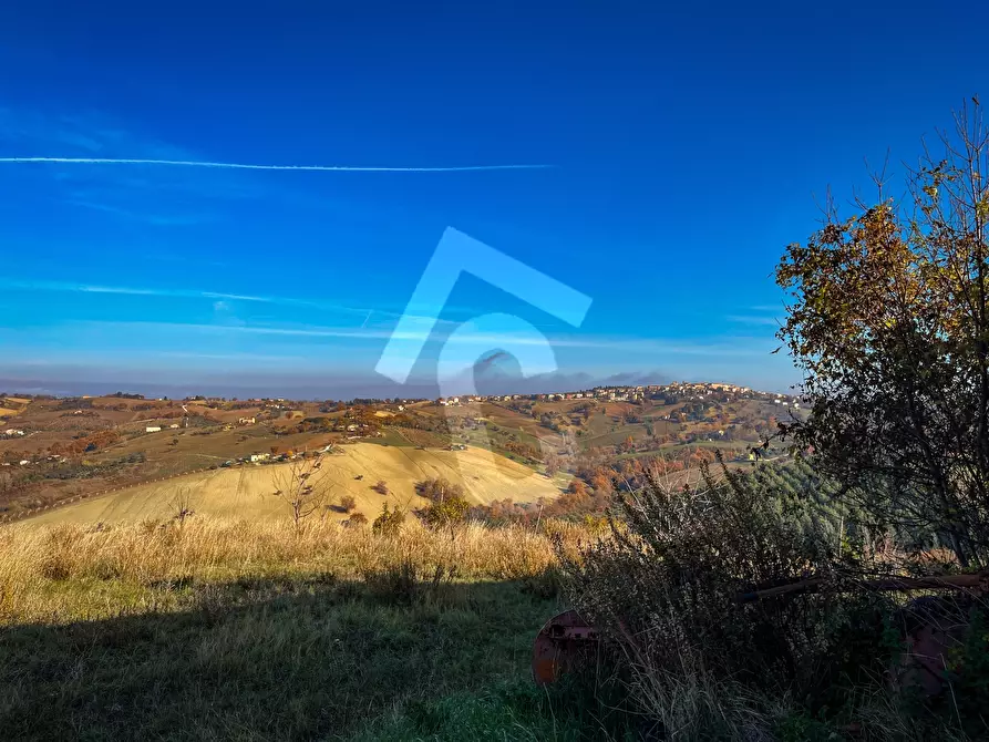 Immagine 63 di Rustico / casale in vendita  a Staffolo