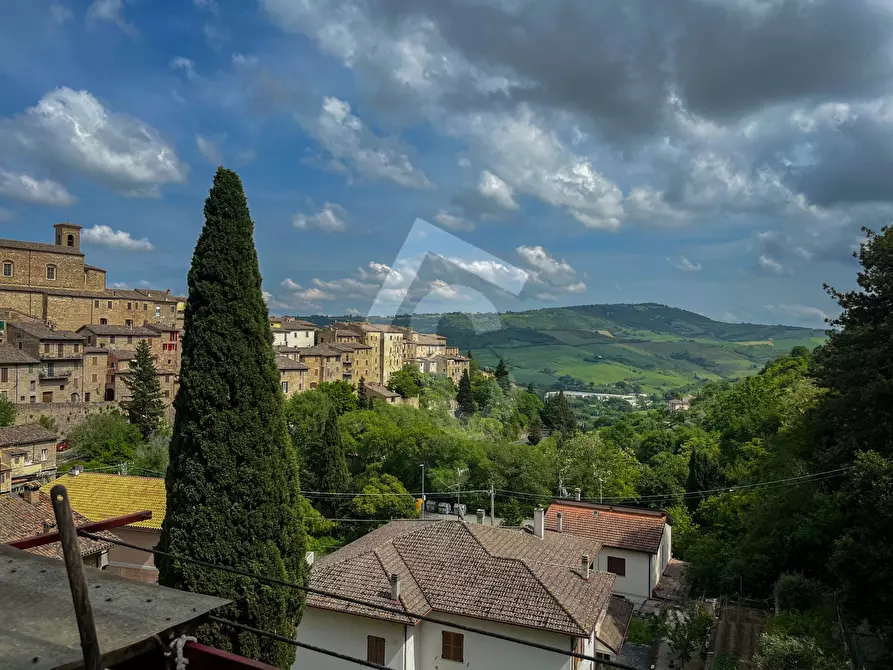 Immagine 13 di Trilocale in vendita  a Serra San Quirico