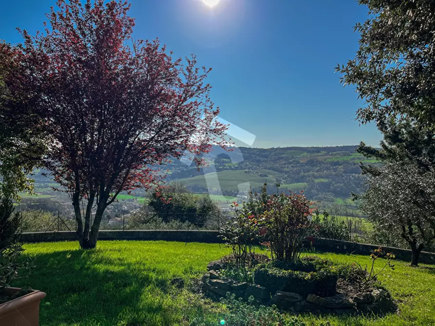 Immagine 4 di Rustico / casale in vendita  a Rosora