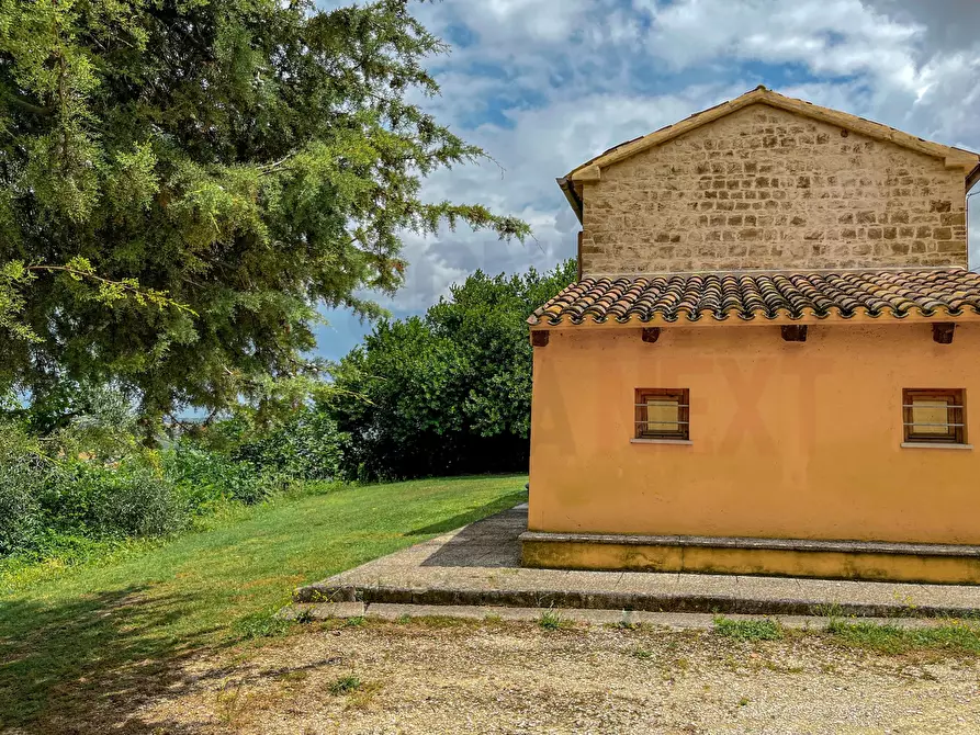 Immagine 20 di Rustico / casale in vendita  a Maiolati Spontini
