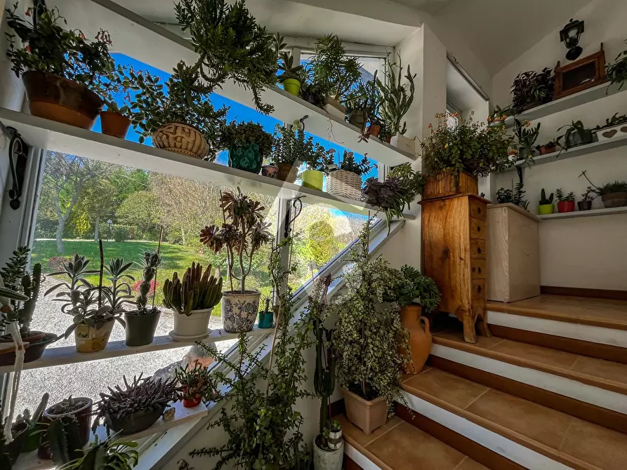 Immagine 13 di Rustico / casale in vendita  a Rosora