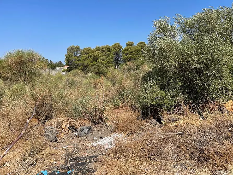 Immagine 9 di Terreno agricolo in vendita  a Tremestieri Etneo