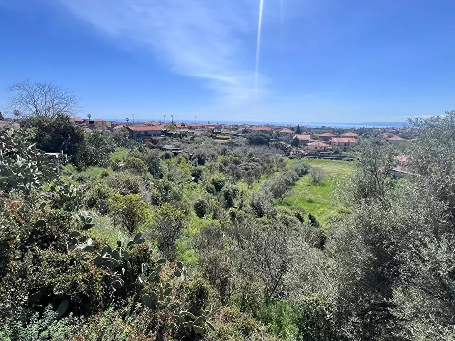 Immagine 3 di Terreno agricolo in vendita  a Tremestieri Etneo