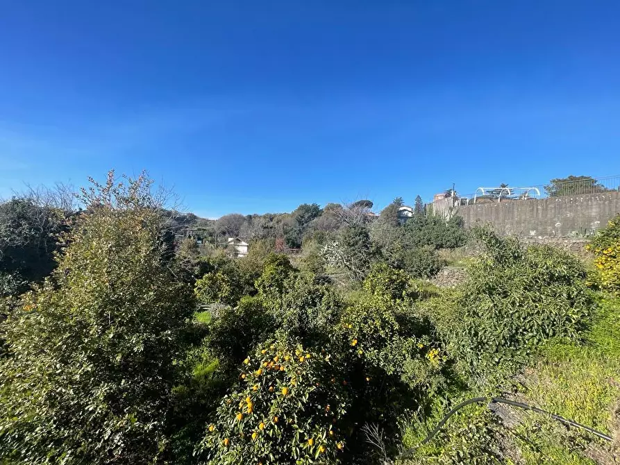 Immagine 22 di Terreno industriale in vendita  a Trecastagni