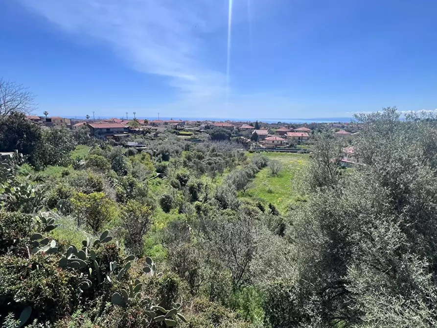 Immagine 13 di Terreno agricolo in vendita  a Tremestieri Etneo