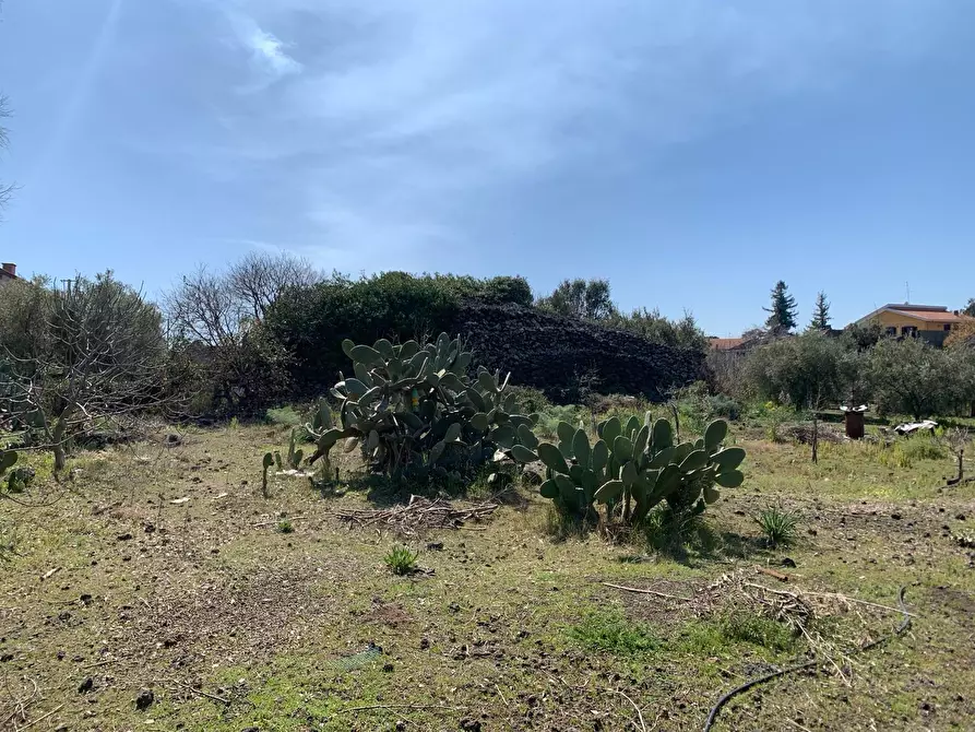 Immagine 12 di Terreno agricolo in vendita  a Pedara