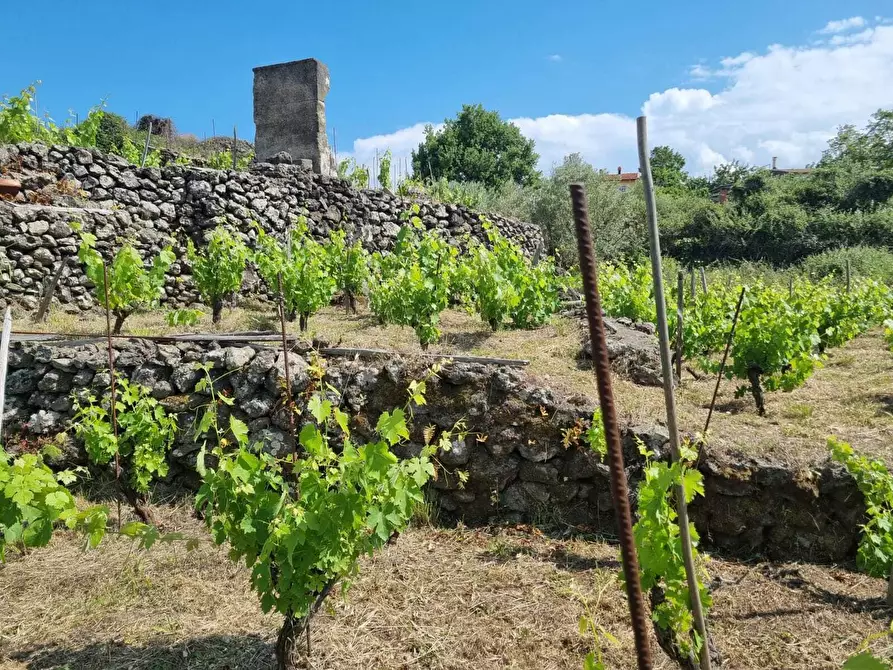 Immagine 23 di Terreno agricolo in vendita  a Tremestieri Etneo