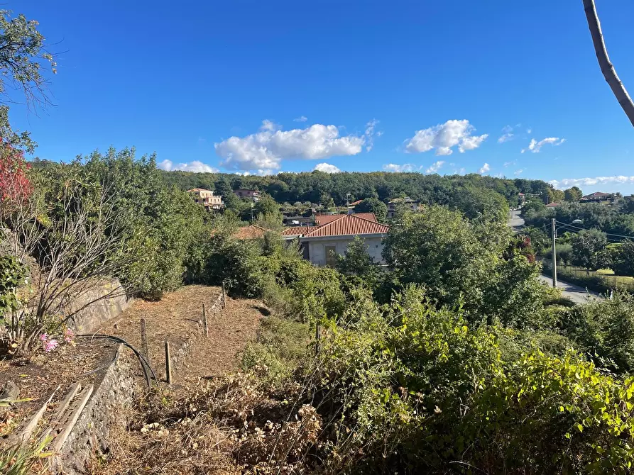 Immagine 2 di Villa in vendita  a Zafferana Etnea