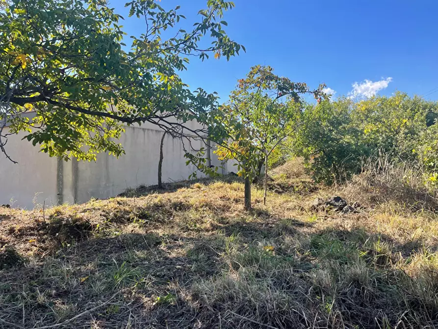 Immagine 36 di Villa in vendita  a Zafferana Etnea