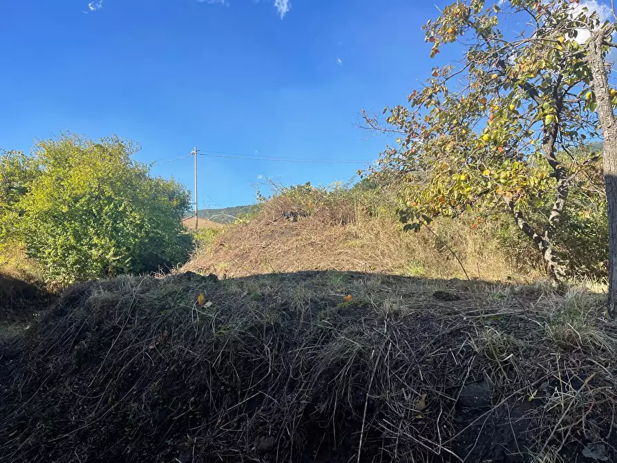 Immagine 33 di Villa in vendita  a Zafferana Etnea