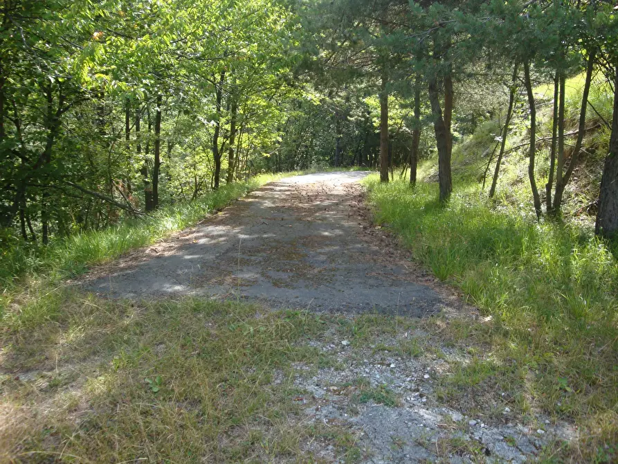 Immagine 12 di Terreno edificabile in vendita  in loc. Palo - Patare 1 a Sassello