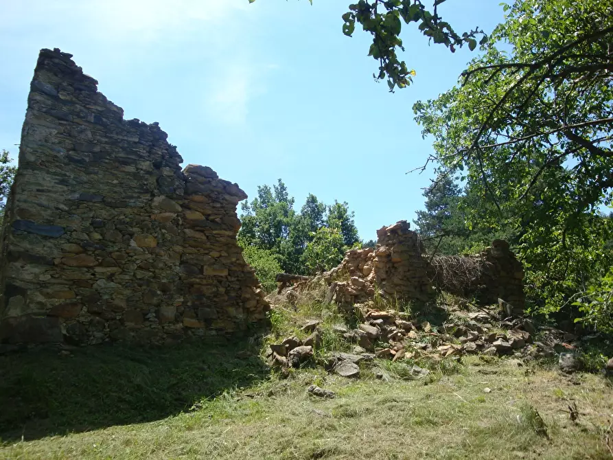 Immagine 9 di Terreno edificabile in vendita  in loc. Palo - Patare 1 a Sassello