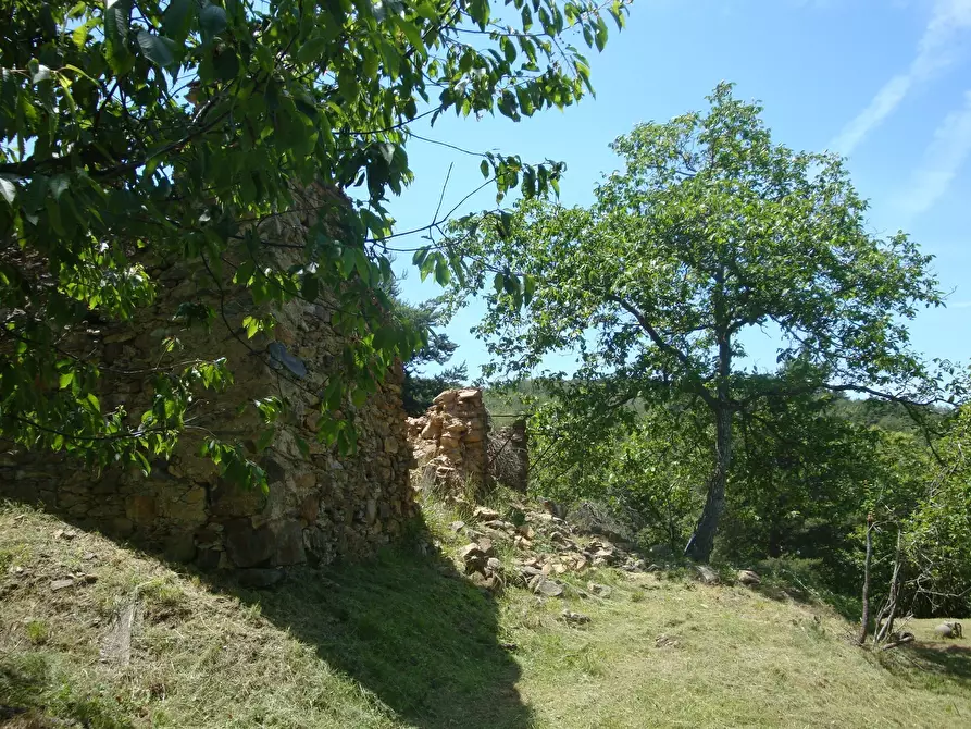 Immagine 10 di Terreno edificabile in vendita  in loc. Palo - Patare 1 a Sassello