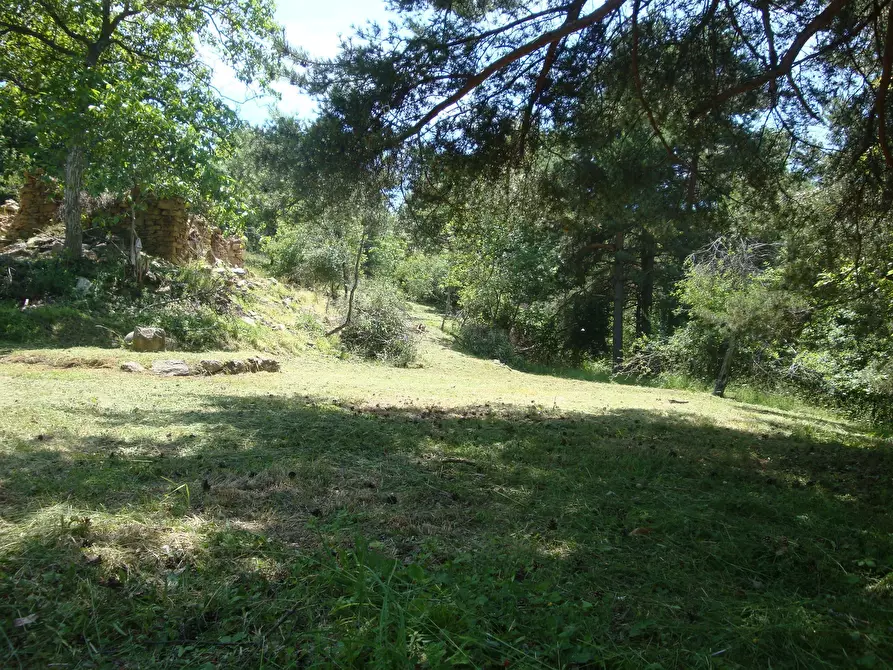 Immagine 3 di Terreno edificabile in vendita  in loc. Palo - Patare 1 a Sassello