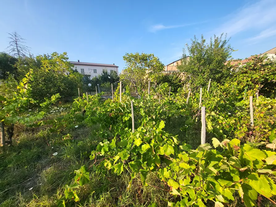 Immagine 101 di Casa indipendente in vendita  in Via Giotto 22 a Acri
