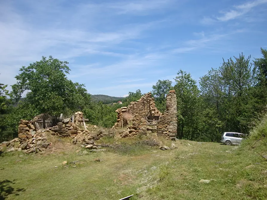 Immagine 7 di Terreno edificabile in vendita  in loc. Palo - Patare 1 a Sassello