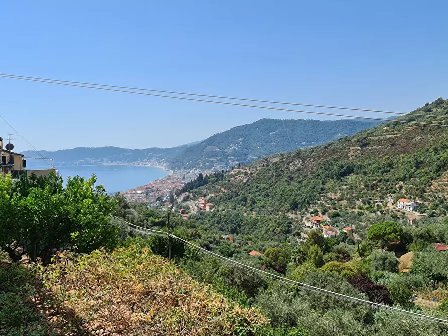 Immagine 5 di Villa in vendita  in Via Margherita Morteo Ollandini 115 a Alassio