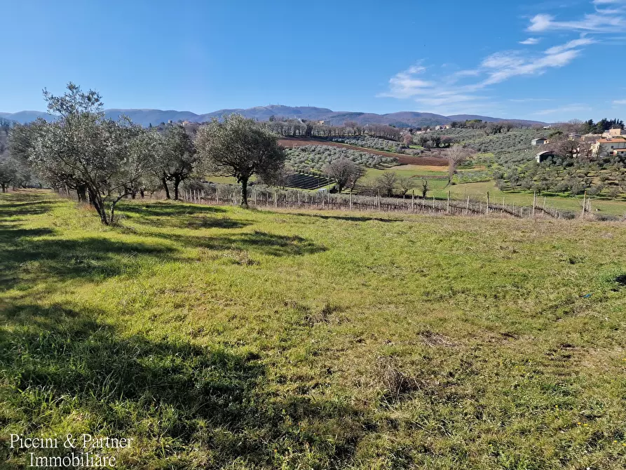 Immagine 84 di Agriturismo in vendita  in Località San Lorenzo a Castel Ritaldi