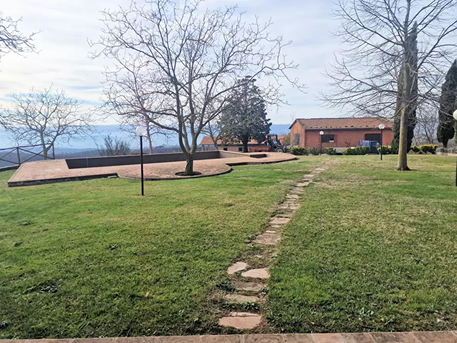 Immagine 61 di Rustico / casale in vendita  in Via del Conventaccio a Ficulle