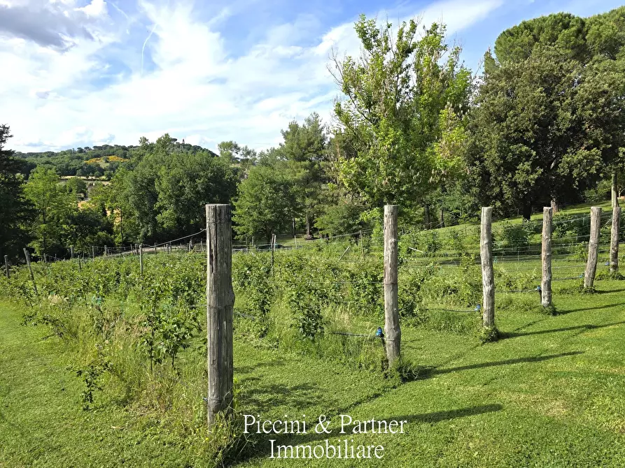 Immagine 89 di Rustico / casale in vendita  in Strada Ponte Resina - Monte Acutello 1 a Perugia