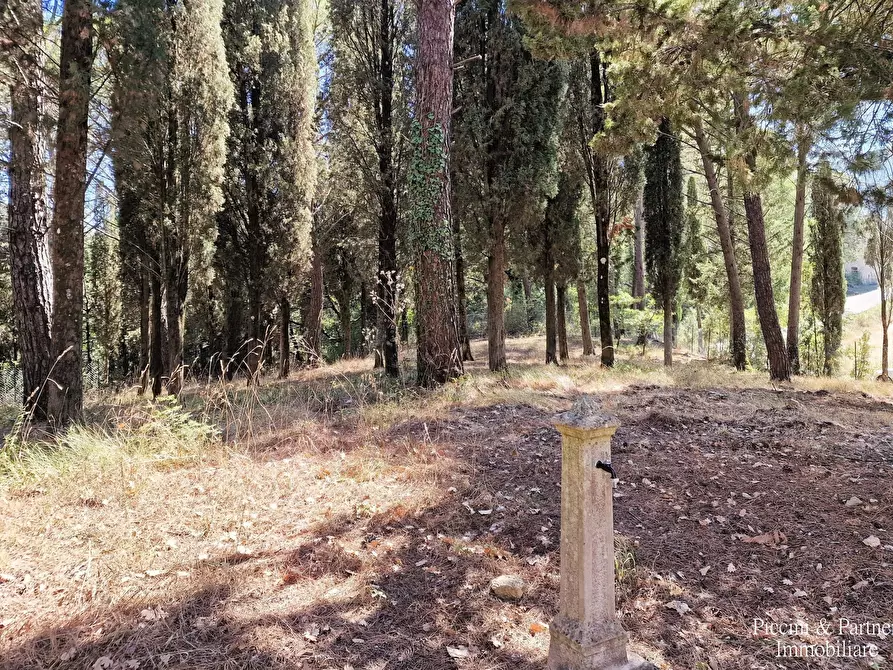 Immagine 7 di Rustico / casale in vendita  in Ex S. Maria a Umbertide