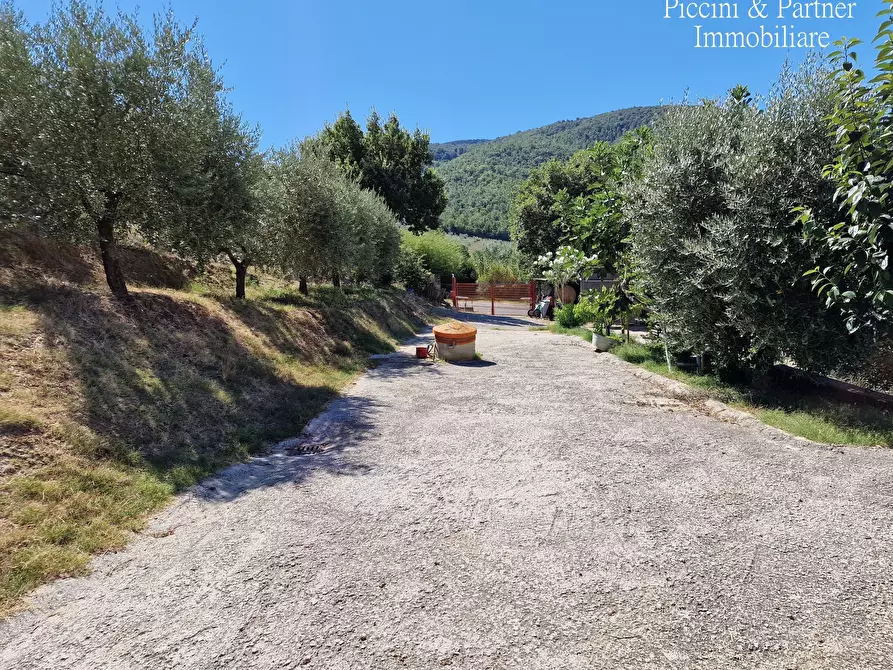 Immagine 45 di Porzione di casa in vendita  in Via Coste a Piegaro