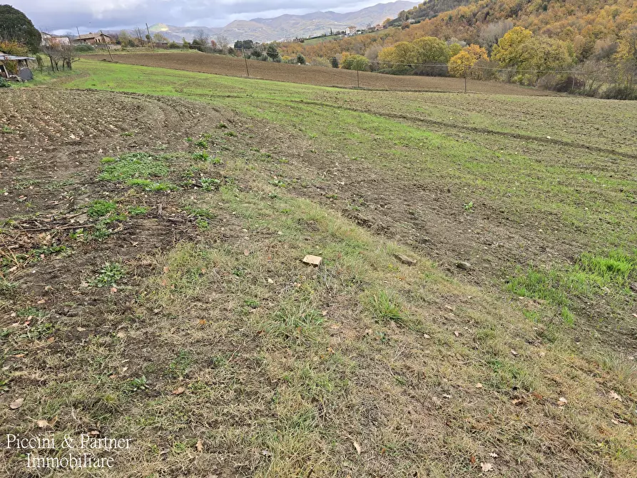 Immagine 14 di Terreno agricolo in vendita  in Località Colonnata a Gubbio