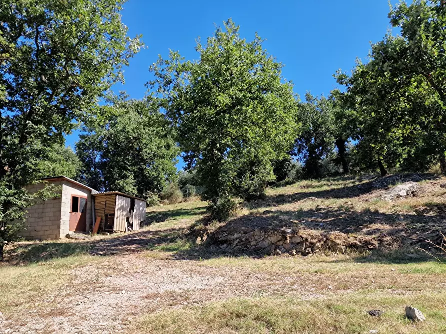 Immagine 46 di Porzione di casa in vendita  in Via Coste a Piegaro