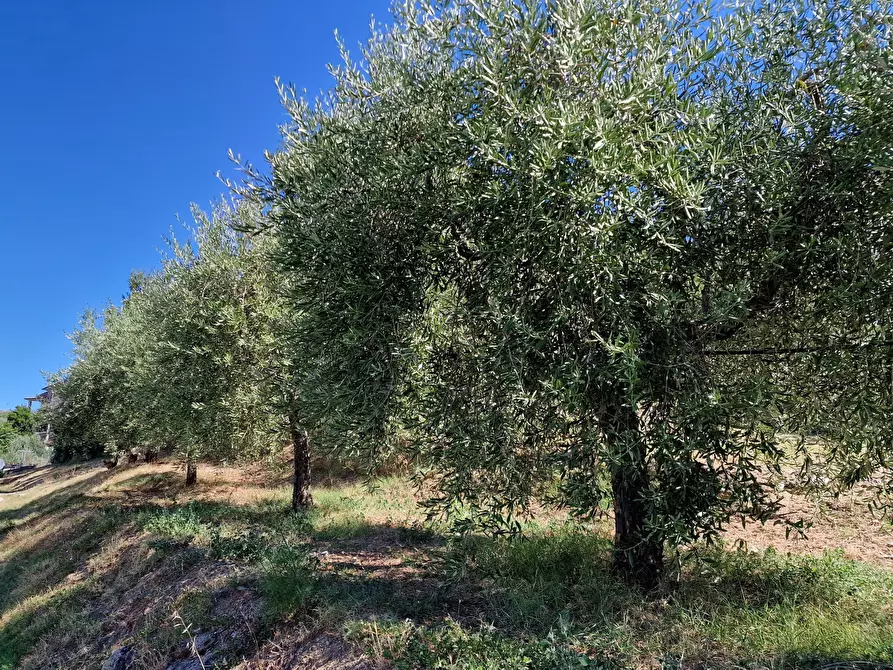 Immagine 50 di Porzione di casa in vendita  in Via Coste a Piegaro