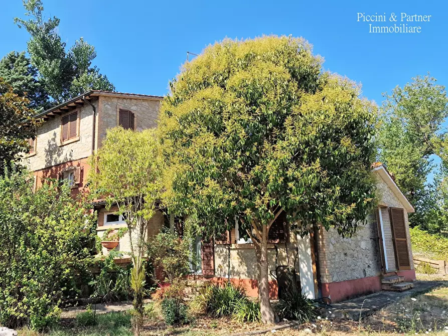 Immagine 58 di Rustico / casale in vendita  in QC38+9R Todi PG a Todi