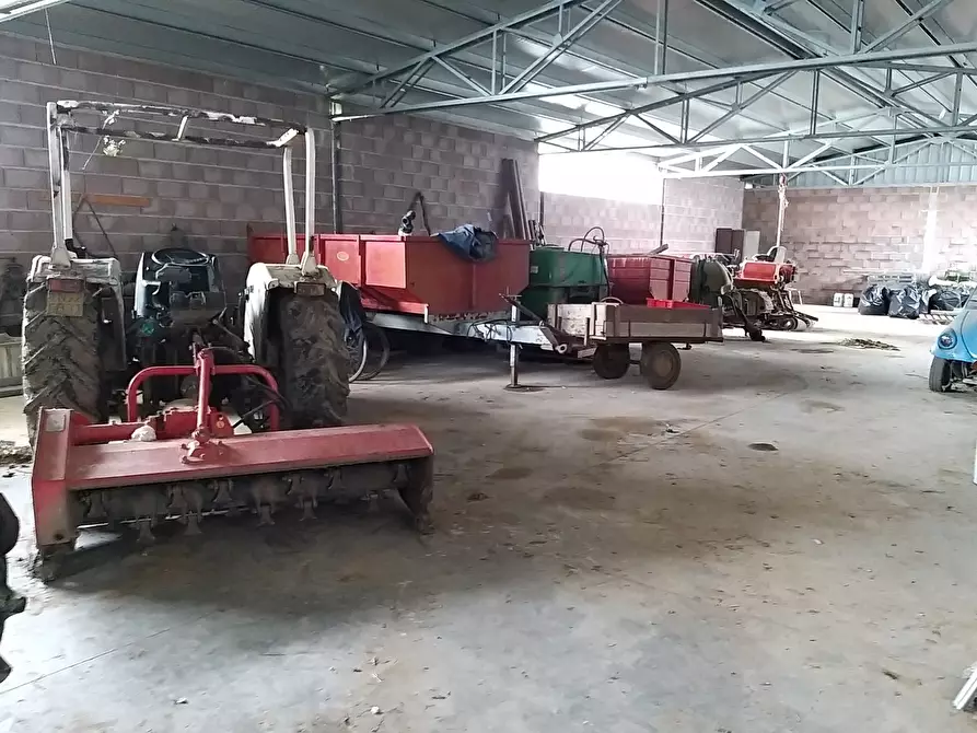 Immagine 14 di Azienda agricola in vendita  in Via Soccorso a Castiglione Del Lago