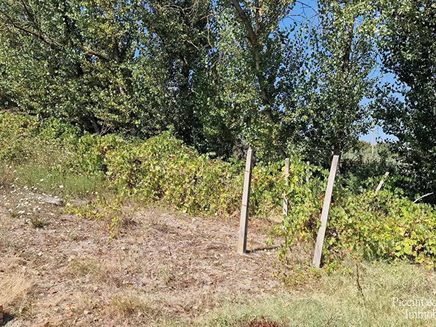 Immagine 57 di Rustico / casale in vendita  in QC38+9R Todi PG a Todi