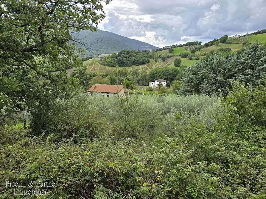 Immagine 101 di Rustico / casale in vendita  in SR 444 Pian della Pieve a Assisi