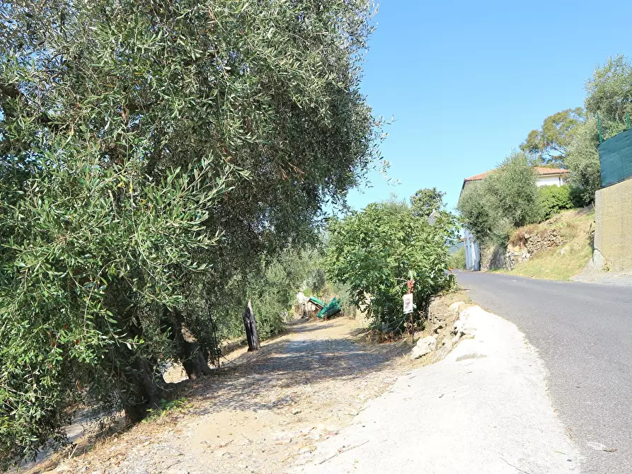 Immagine 20 di Rustico / casale in vendita  in Via Ughi 12 a Diano San Pietro