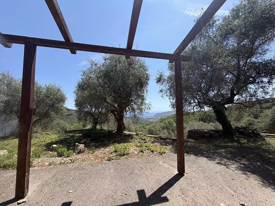 Immagine 12 di Villa in vendita  in Strada Interpoderale Moltedo - Ciai 13 a Diano San Pietro