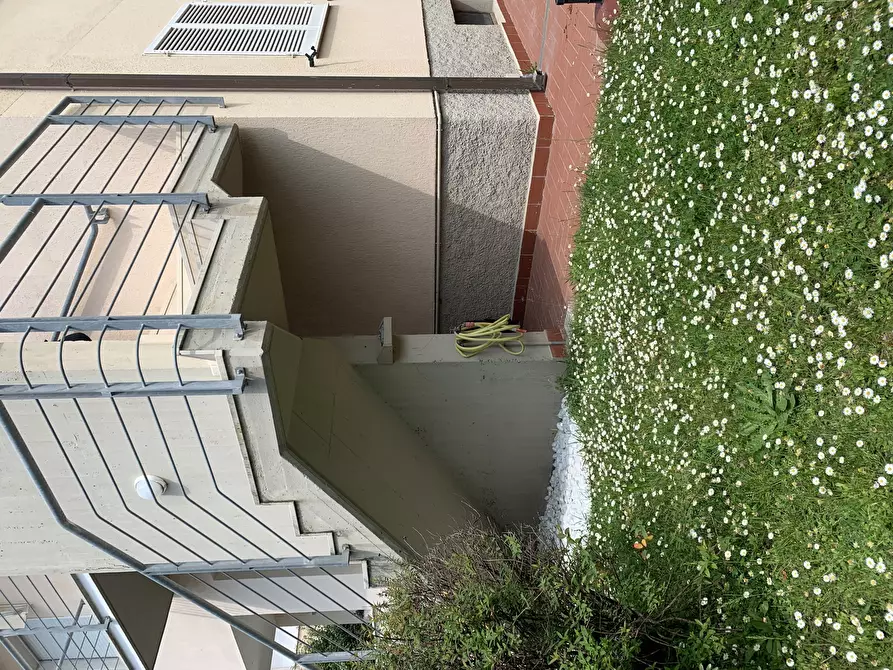 Immagine 36 di Casa semindipendente in affitto  a Pietrasanta