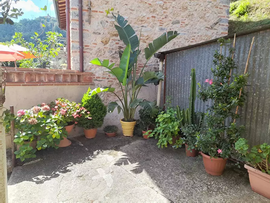Immagine 4 di Rustico / casale in vendita  a Camaiore