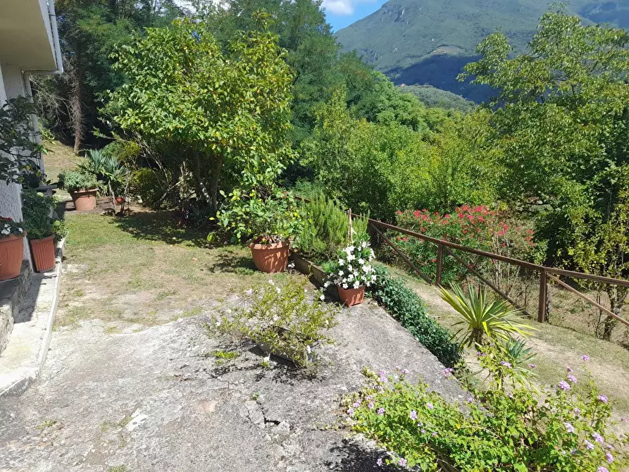 Immagine 67 di Rustico / casale in vendita  a Camaiore