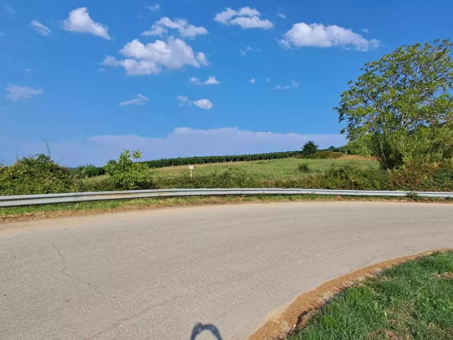 Immagine 1 di Terreno agricolo in vendita  in Contrada Castellana 3 a San Vito Chietino