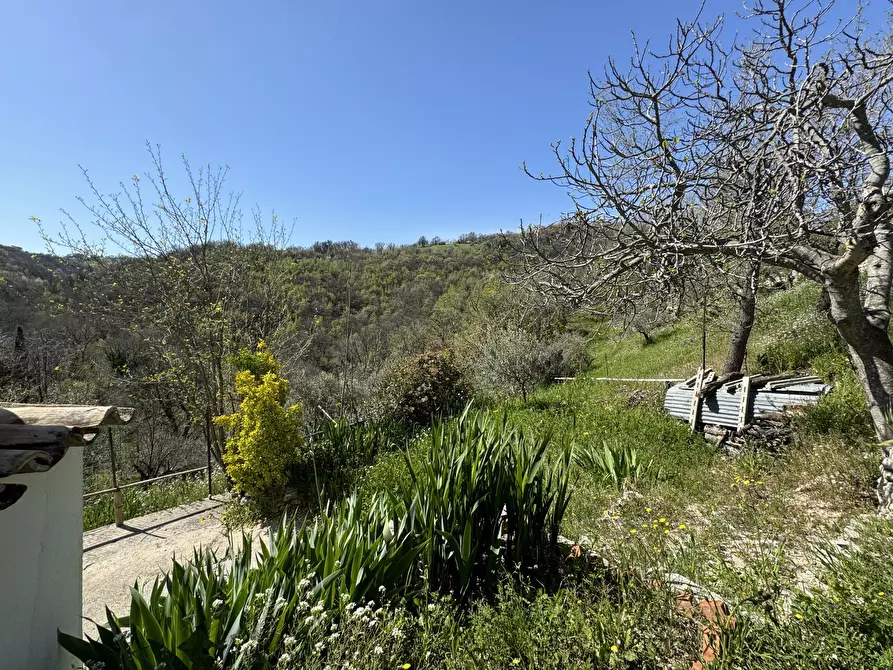 Immagine 5 di Casa indipendente in vendita  a Gessopalena