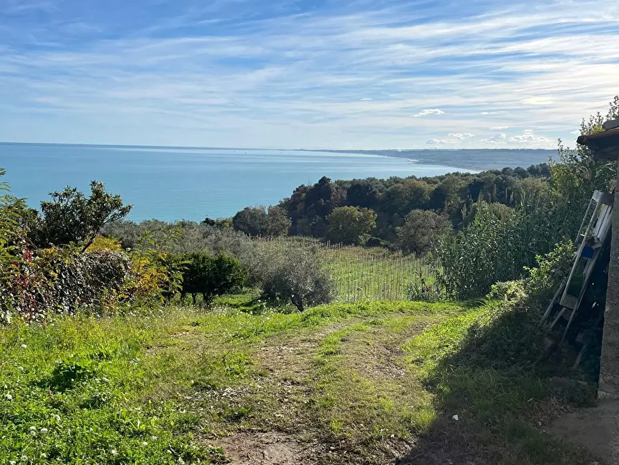 Immagine 19 di Trilocale in affitto  in Contrada Piane Favaro 190 a Rocca San Giovanni