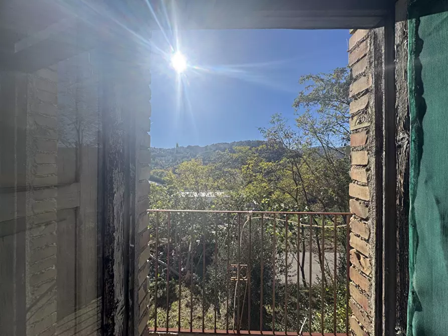 Immagine 22 di Rustico / casale in vendita  a Atessa