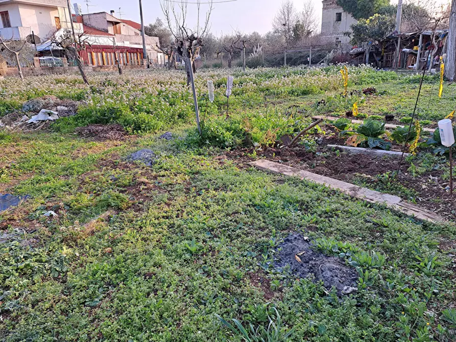 Immagine 41 di Villa in vendita  in VILLA ANDREOLI a Lanciano