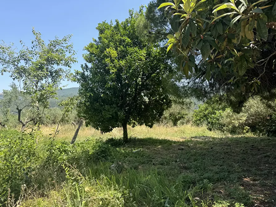 Immagine 39 di Casa semindipendente in vendita  in Via Lascianna 9 a Roccascalegna