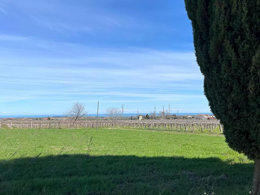 Immagine 66 di Rustico / casale in vendita  in C.DA SAN GIACOMO 39 a Rocca San Giovanni