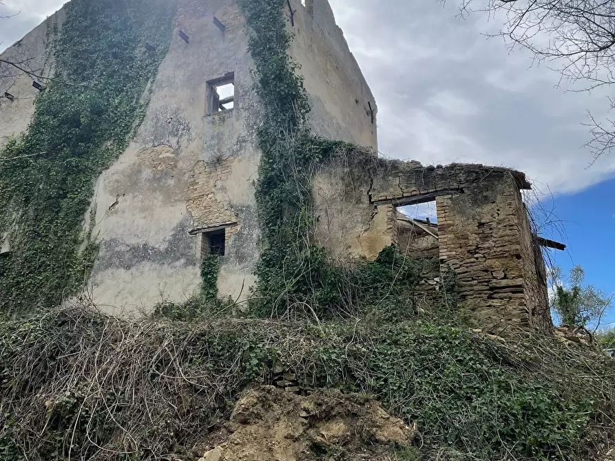 Immagine 54 di Rustico / casale in vendita  in C.DA CASTELLANA a Treglio