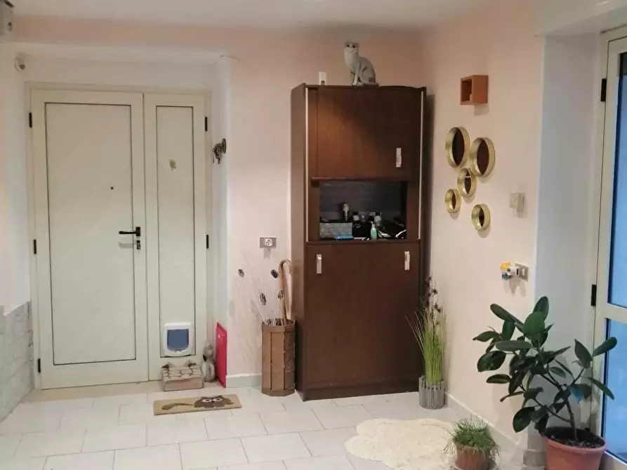 Immagine 20 di Terratetto in vendita  a San Buono