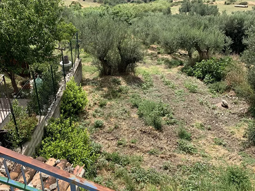 Immagine 21 di Casa indipendente in vendita  a Altino